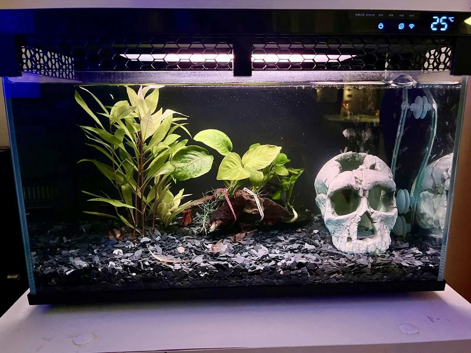 Xiaomi Mijia Smart Fish Tank 20L (MYG100)
